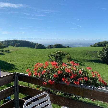 Hotel Restaurant Alpenblick Wolfisberg Екстериор снимка